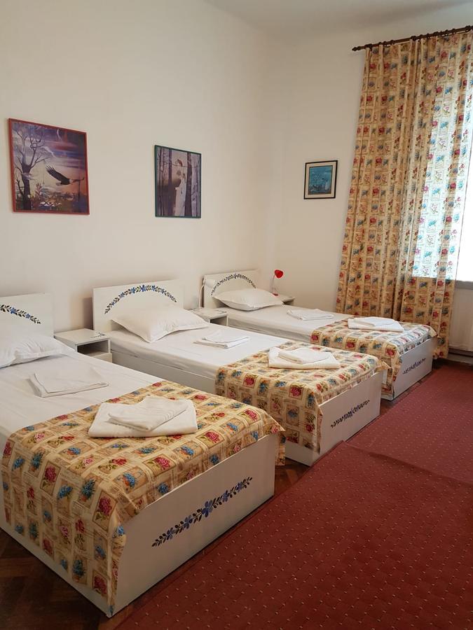Pensiunea Geostar 2 Curtea de Argeş Eksteriør billede